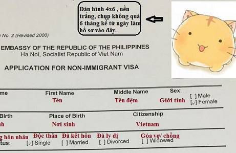 Hướng dẫn điền thông tin xin visa tại Việt Nam